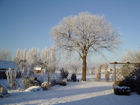 Winter 